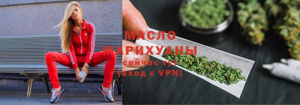гашик Майский