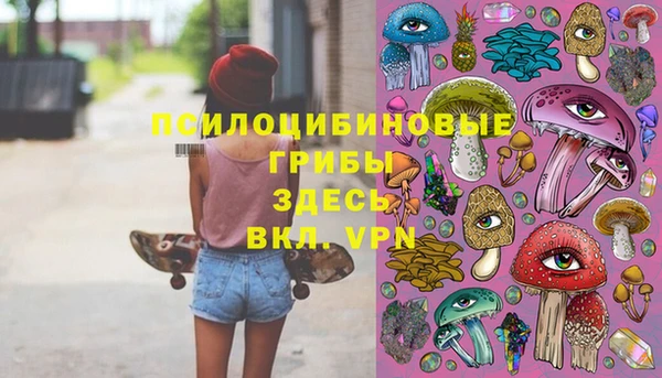 гашик Майский