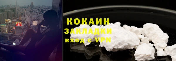 гашик Майский
