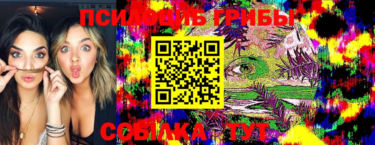 Галлюциногенные грибы Cubensis  Вход с VPN  Энгельс 