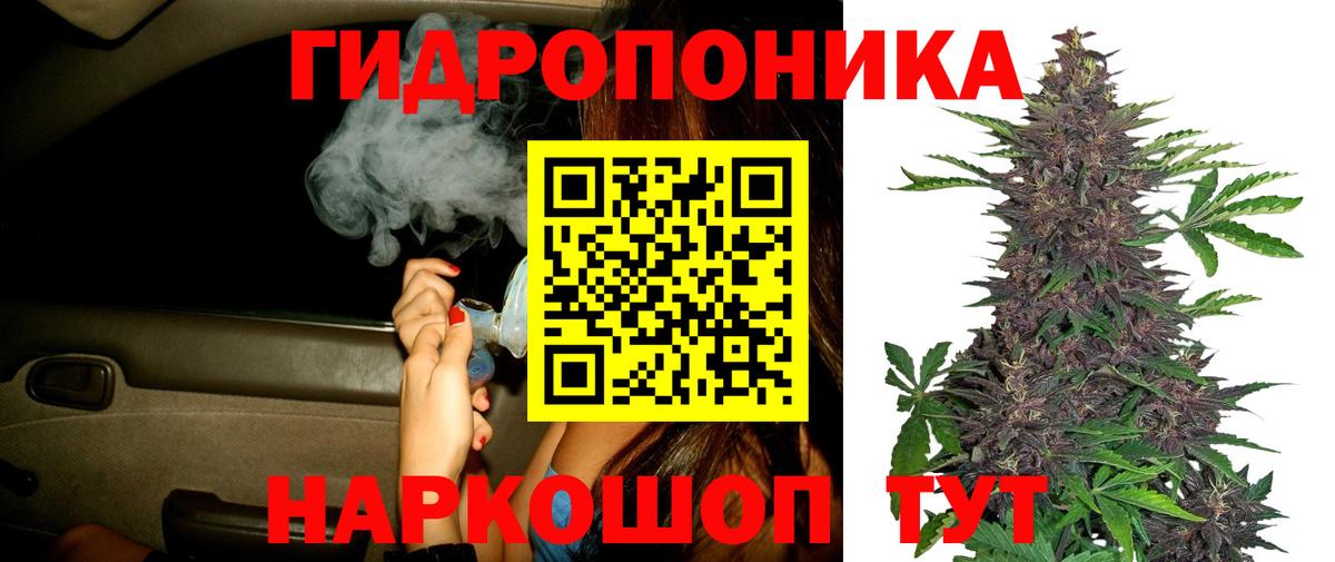 Каннабис план  Вход с VPN  МАРИХУАНА LSD WEED  Энгельс  Канабис план 